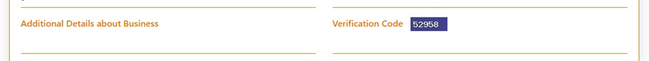 Enter additional details and verification code